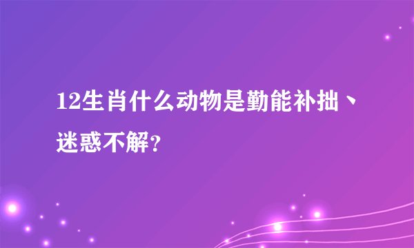 12生肖什么动物是勤能补拙丶迷惑不解？