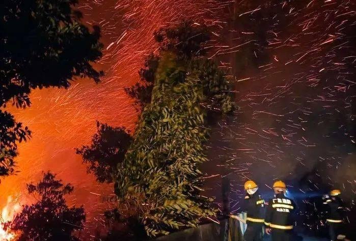 关于广东汕头突发森林火灾一事，到底有没有人员伤亡呢？