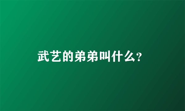 武艺的弟弟叫什么？