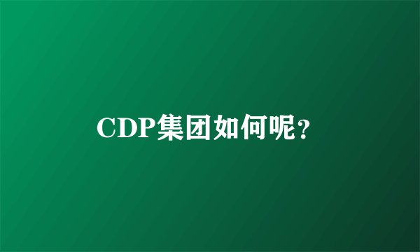 CDP集团如何呢？