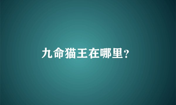 九命猫王在哪里？
