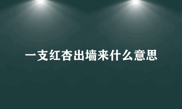 一支红杏出墙来什么意思