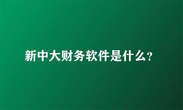 新中大财务软件是什么？