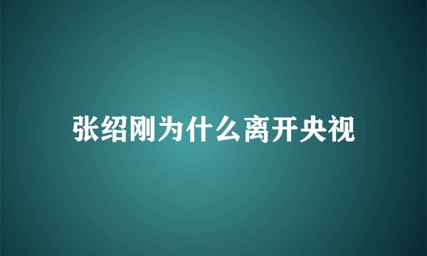 张绍刚为什么离开央视