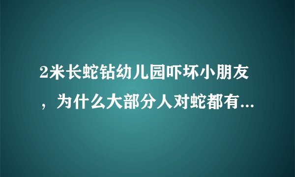 2米长蛇钻幼儿园吓坏小朋友，为什么大部分人对蛇都有恐惧心理？