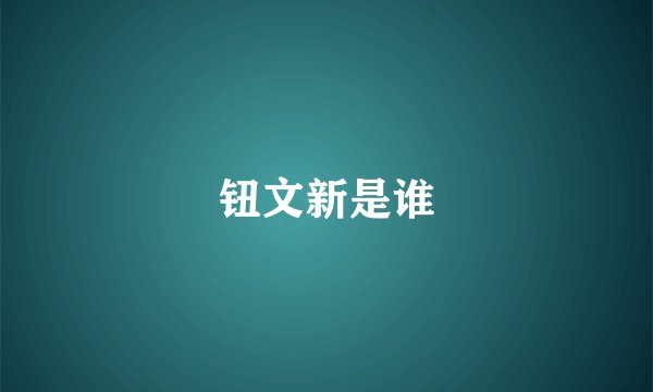 钮文新是谁