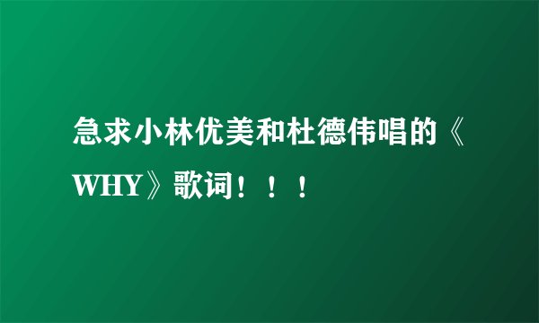 急求小林优美和杜德伟唱的《WHY》歌词！！！