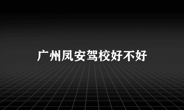 广州凤安驾校好不好
