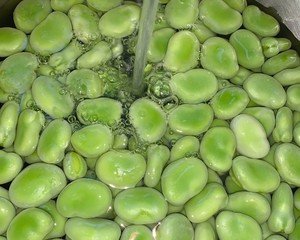 新鲜蚕豆的做法大全家常菜