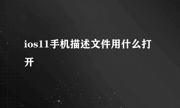 ios11手机描述文件用什么打开