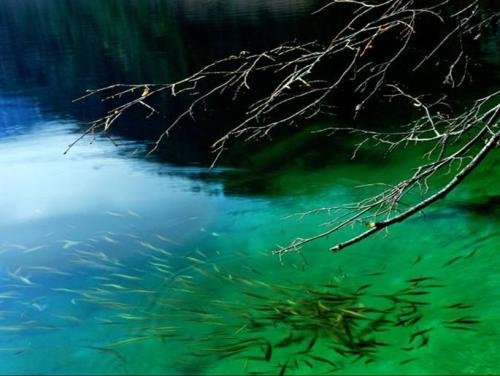 小石潭记的通假字,一词多义 古今异义