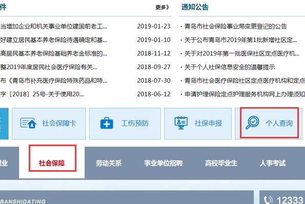 怎么在青岛市劳动与社会保障网中查一个人的养老保险