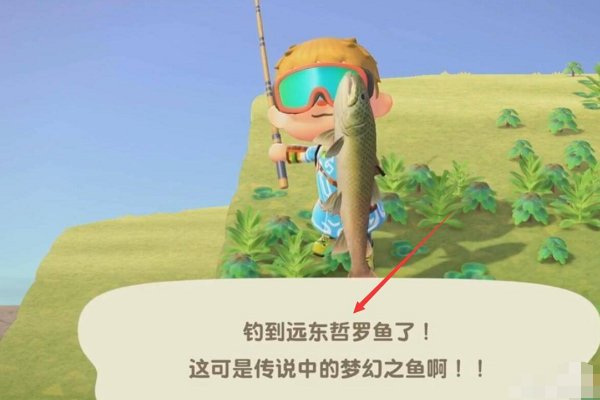 动森远东哲罗鱼怎么钓?