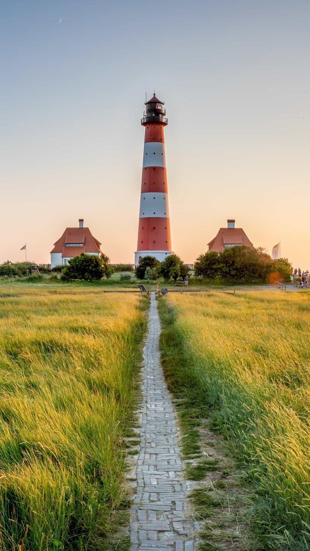 你来和你来一下在语气上有什么不同？