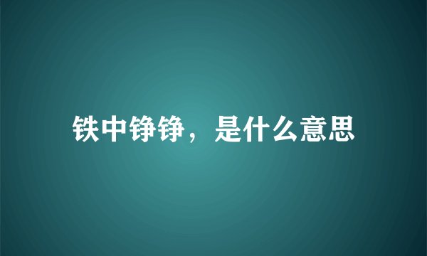 铁中铮铮，是什么意思