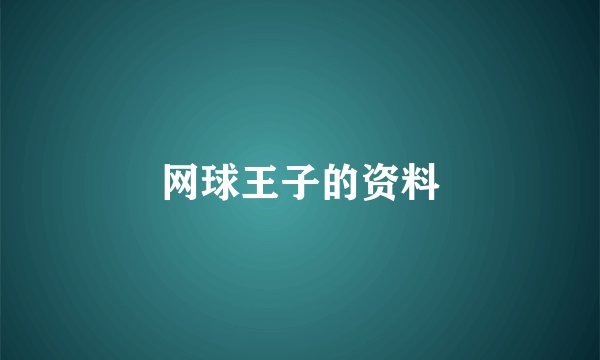 网球王子的资料