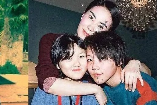 王菲产子是真的吗？