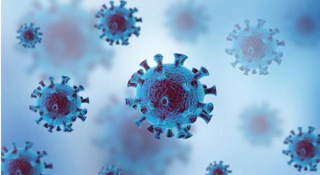 张文宏指出能否走出疫情的重要指标，其中哪些重点内容值得关注？