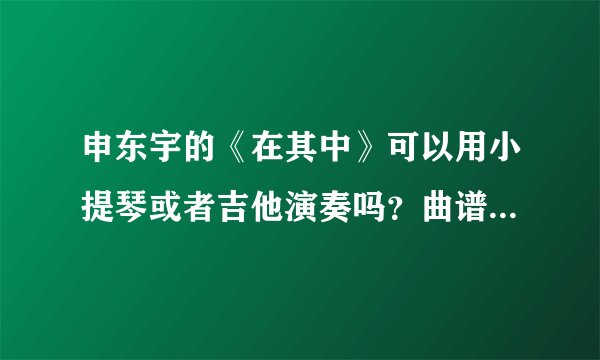 申东宇的《在其中》可以用小提琴或者吉他演奏吗？曲谱是什么？