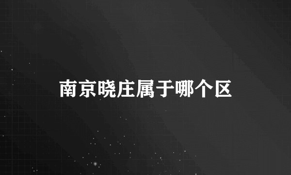 南京晓庄属于哪个区