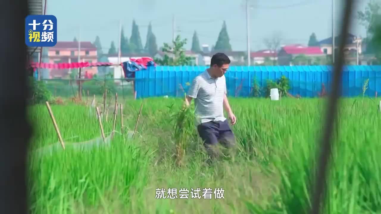 湖南湘阴一男子，辞掉公务员回乡当农民，他在家乡发展的怎么样？