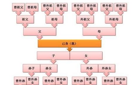 九族是什么意思