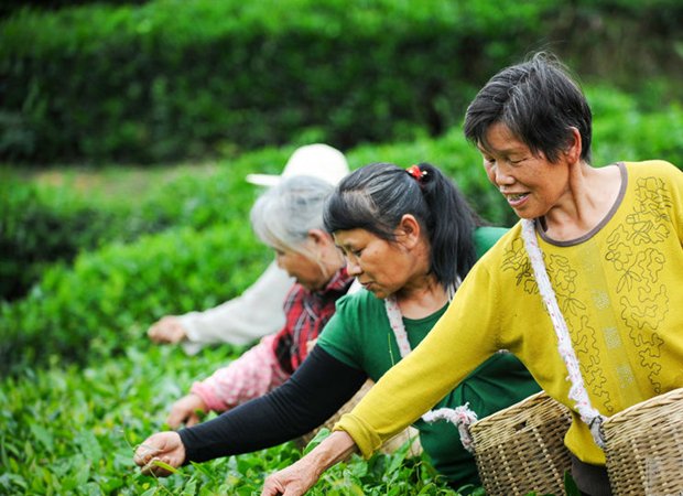 村民讲述安徽太湖车辆坠崖致12死事件，此次事故给当地造成了多大的损失？