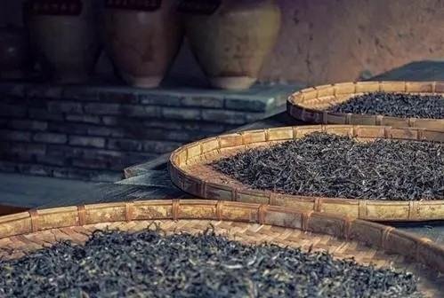 金骏眉是什么茶