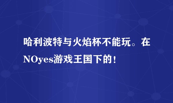 哈利波特与火焰杯不能玩。在NOyes游戏王国下的！
