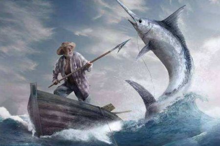 老人与海的读后感