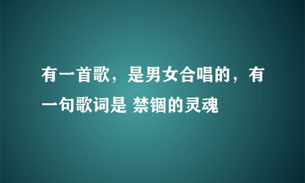 有一首歌，是男女合唱的，有一句歌词是 禁锢的灵魂