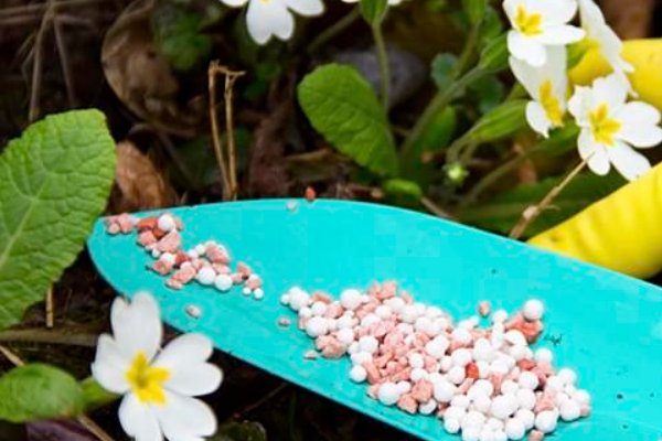 小型加工厂创业项目有哪些?