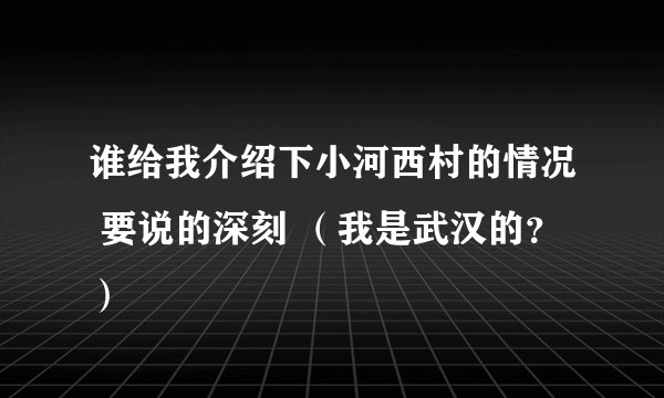 谁给我介绍下小河西村的情况 要说的深刻 （我是武汉的？）