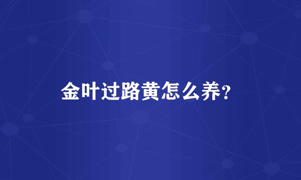 金叶过路黄怎么养？