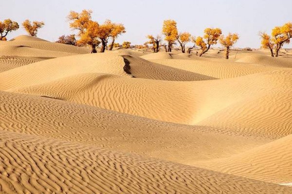 彭加木失踪之谜的始末究竟是什么?