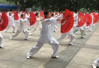 太极功夫扇第一套有几段