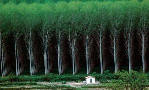 齐的组词 齐组词 齐字组词 齐怎么组词