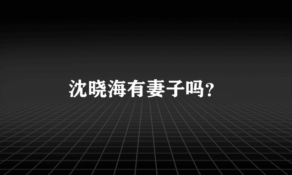 沈晓海有妻子吗？