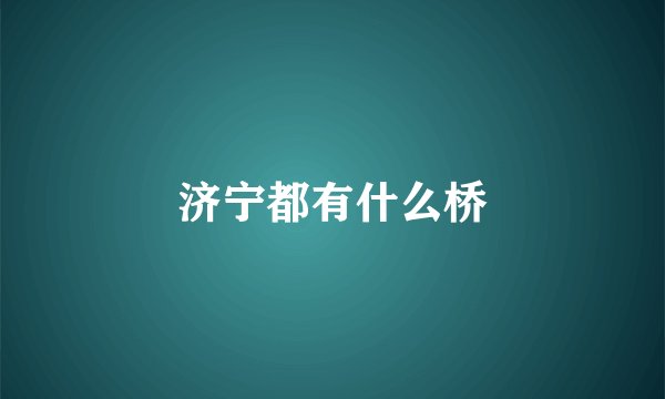 济宁都有什么桥