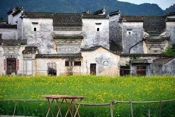 各大高校都有哪些令人难以置信的黑暗料理?