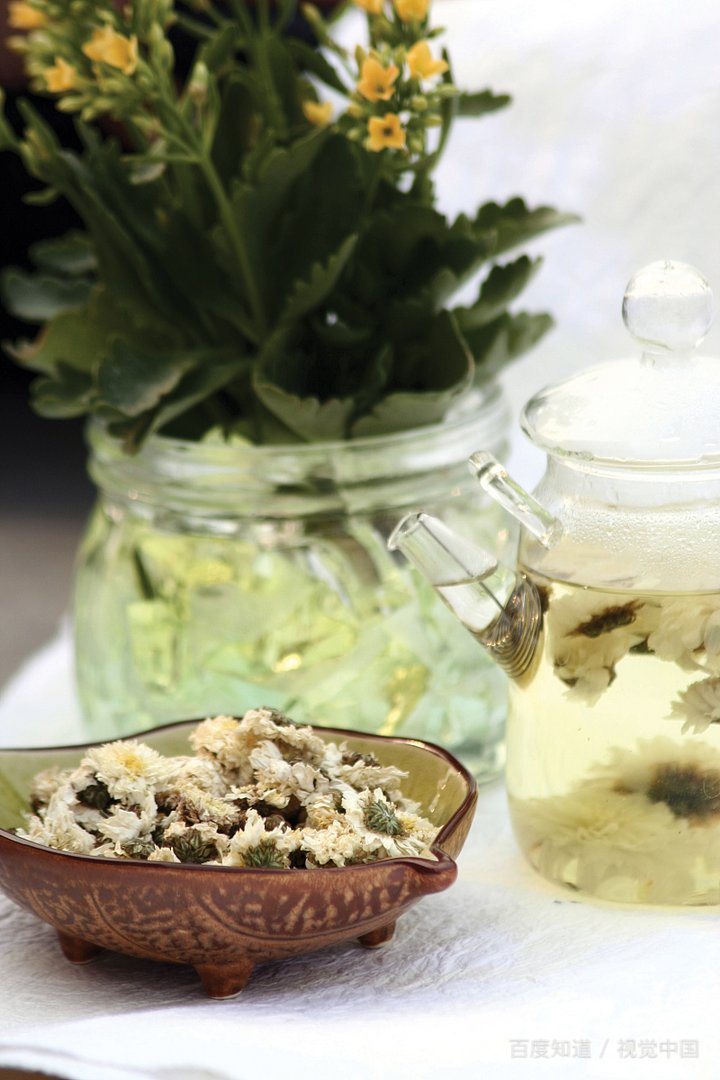 花草茶品种及图片大全