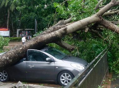 广东广西海南等地即将进入台风雨模式,当地做出了哪些应对措施?