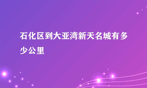 石化区到大亚湾新天名城有多少公里