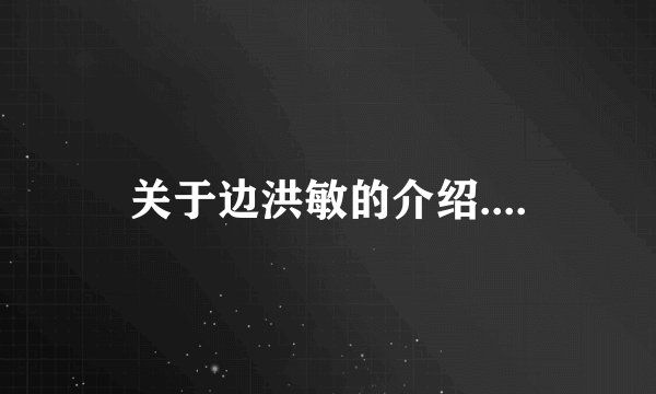 关于边洪敏的介绍....
