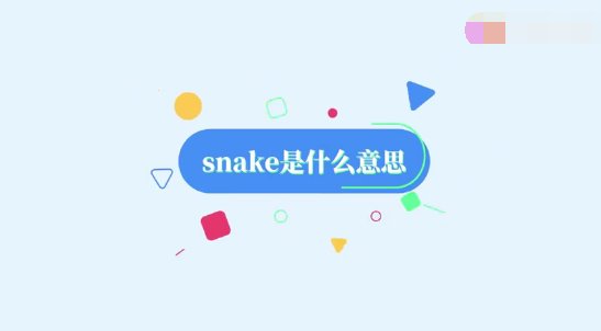 snake是什么意思