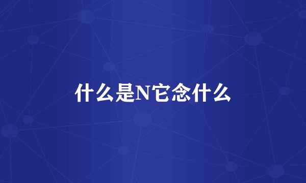 什么是N它念什么