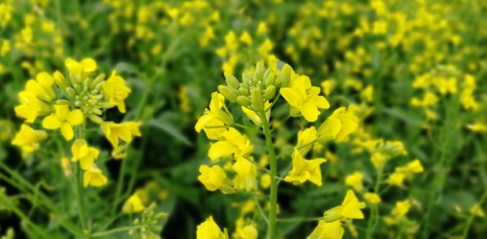 请问！这张照片出自哪里？表示什么意思？