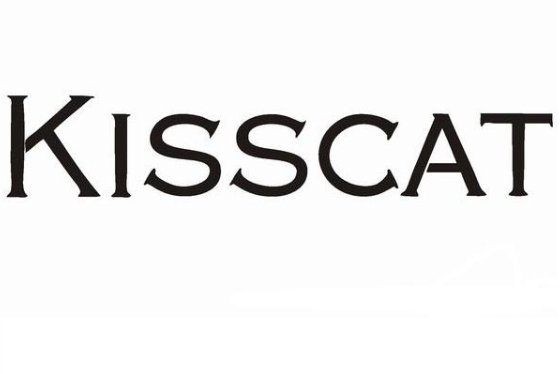 kisscat是哪的品牌？