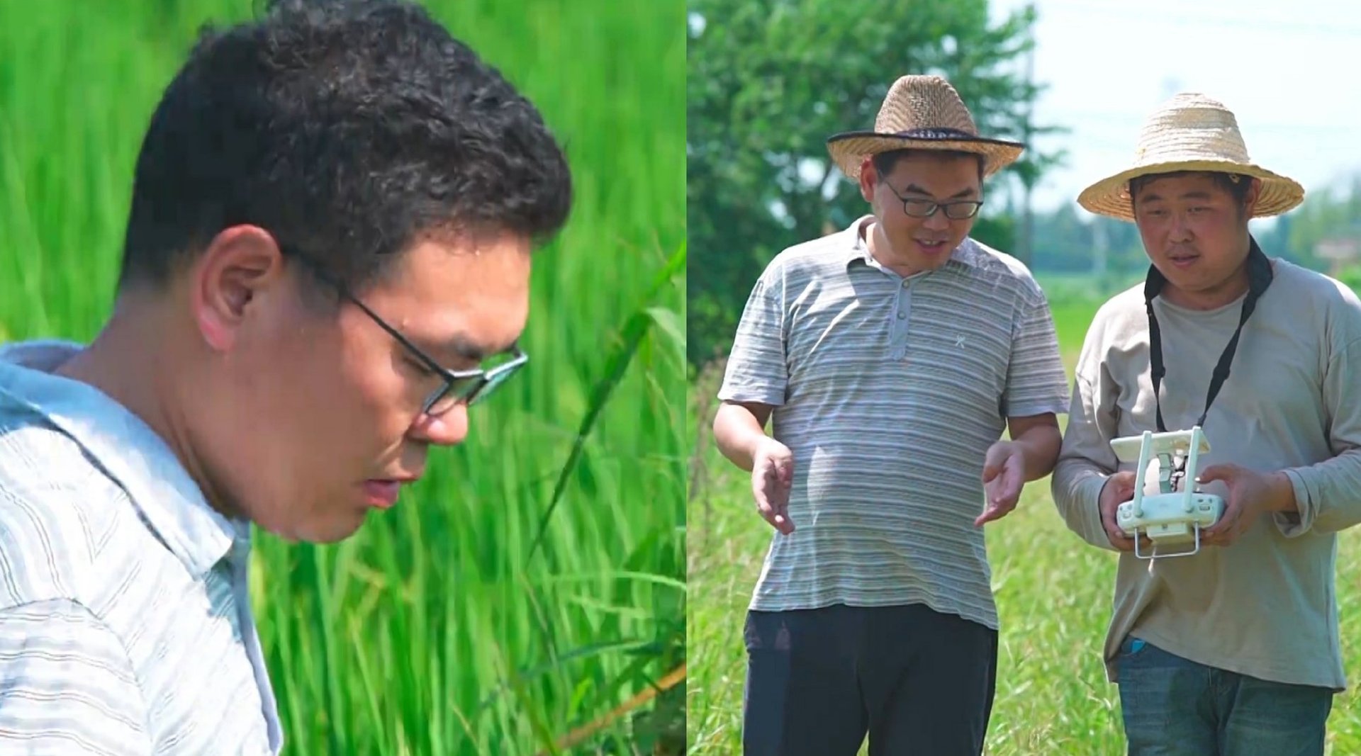 湖南湘阴一男子，辞掉公务员回乡当农民，他在家乡发展的怎么样？