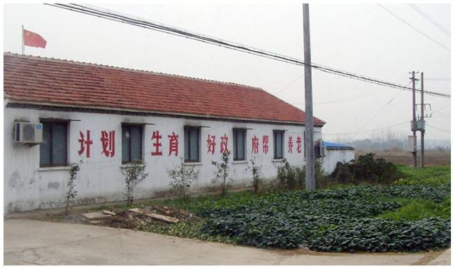 我国的基本国策是什么？